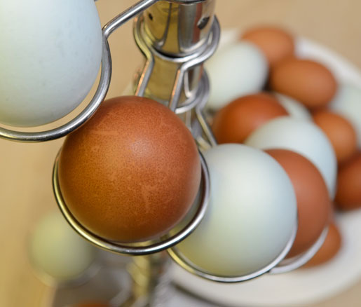 eggs in the James Beard House kitchen