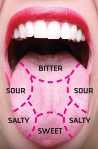 Is The Coffee Tongue Map Accurate The Roasterie Lingual papillae are the tiny. the roasterie