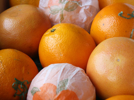 Citrus from the Orange Shop in Florida