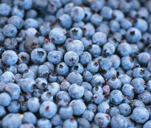 berry recipes from the James Beard Foundation