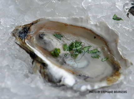 Chilled Oysters with Cucumber Water