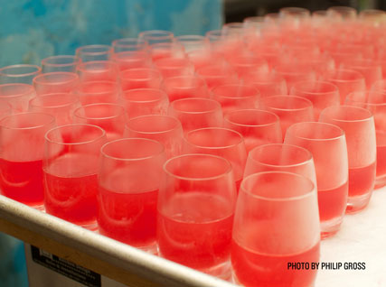 strawberry water shooters